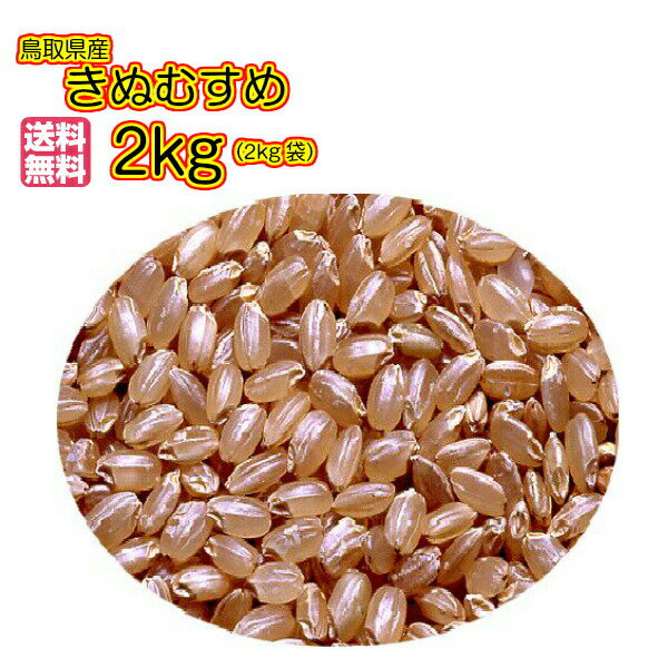 送料無料 鳥取県産きぬむすめ 2kg 玄米 特A米当店一流米 令和3年産 新米 1等米レターパックお届け 全国送料無料