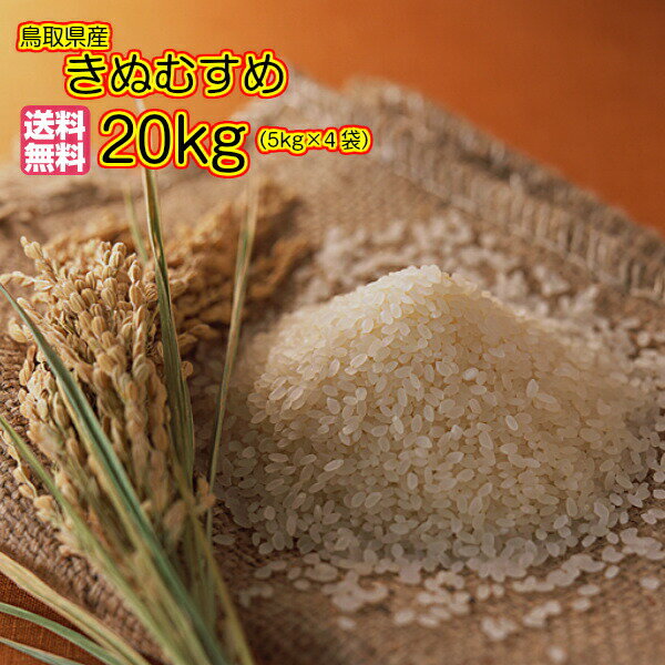 送料無料 鳥取県産きぬむすめ 20kg 5kg×4緑袋 特A米令和元年産 新米1等米