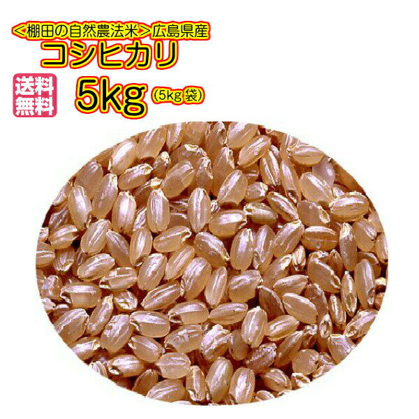 人気ランキング第8位「かきもと米穀のよしだ小町」口コミ件数「78件」評価「4.54」自然農法で作った米 5kg 青袋 棚田米 送料無料広島県産コシヒカリ5kg 広島コシヒカリ5kg 令和5年産 1等米