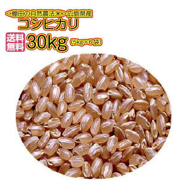 送料無料 新米 30年産 広島県産コシヒカリ 30kg 5kg×6無地袋30年産1等米