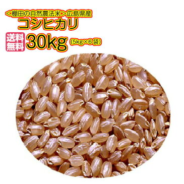 送料無料 広島県産コシヒカリ 30kg 玄米 5kg×6金の袋令和元年産 1等米