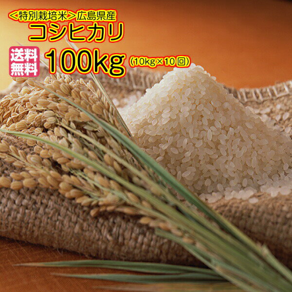 送料無料広島県産コシヒカリ 10kg 特別栽培米×10回お届けコース 各回5kg×2ゴールド袋 3年産