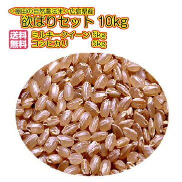 ミルキークイーン 5kg＆コシヒカリ 5kg 送料無料 合計10kg 玄米 お届け特別栽培米 欲ばりセット広島県産 令和3年産1等米