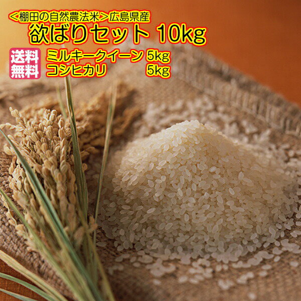 ミルキークイーン 5kg 特別栽培米 ＆ コシヒカリ 5kg