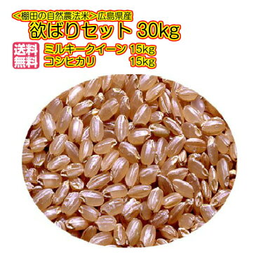 送料無料 広島県産コシヒカリ 15kgと広島県産ミルキークイーン 15kg＝ 30kgセット 玄米 欲ばりセット 令和元年産