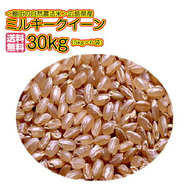 送料無料 広島県産ミルキークイーン 30kg 特別栽培米 玄米 5kg×6ゴールド袋 令和元年産 1等米