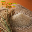 もち米 1kg 広島県産ヒメノモチ 1kg モチ米 1kg 餅米 1kg