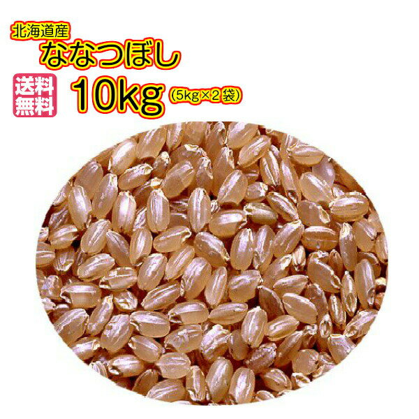 送料無料 北海道産ななつぼし 10kg 5kg×2無地袋令和 5年産 1等米