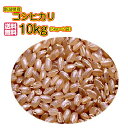 コシヒカリ 10kg 玄米 