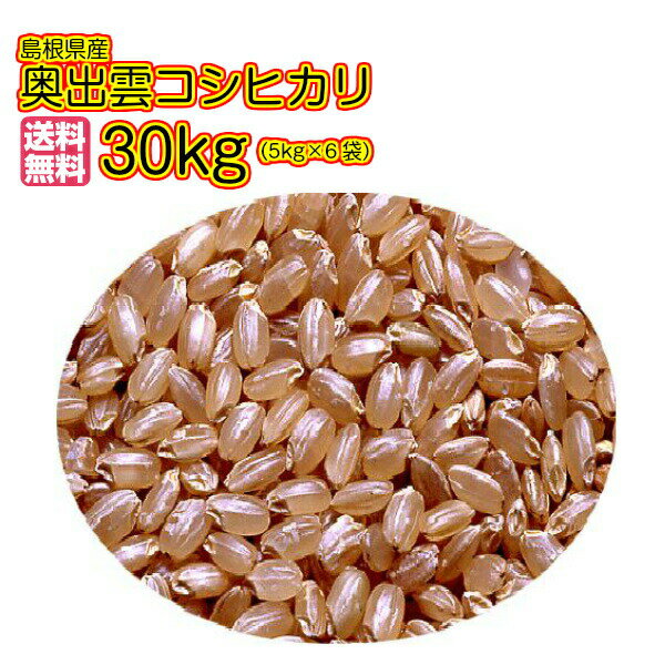 コシヒカリ 30kg 玄米 5kg×6青袋 送料無料奥出雲コシヒカリ 30kg 島根県産コシヒカリ 30kg 日本農業遺産認定地区の米 令和5年産 1等米