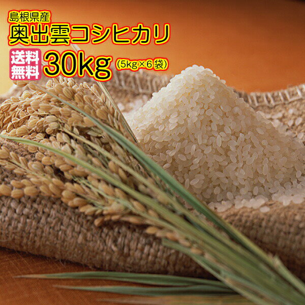 送料無料 島根県産 奥出雲コシヒカリ 30kg 5kg×6当店高級金袋 島根県産コシ...