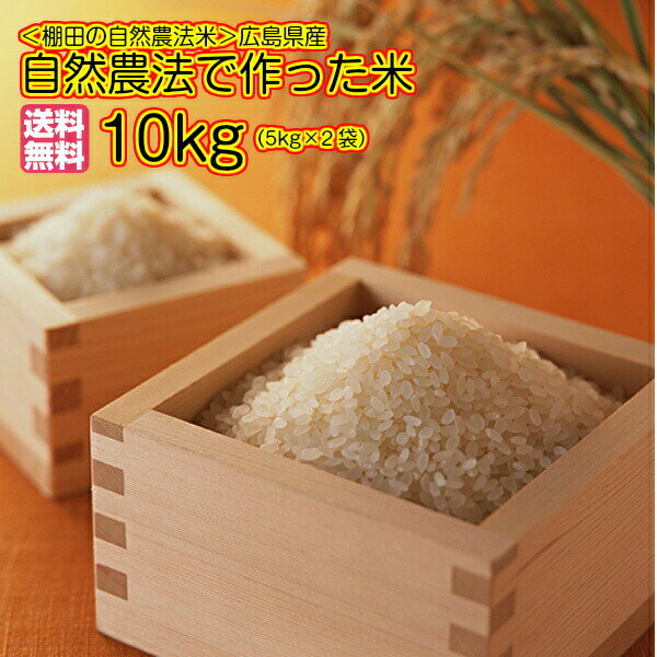 コシヒカリ10kg 玄米 5kg×2青袋 自然農法で作った米