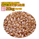 自然農法で作った米 20kg 玄米 5kg×4黄金袋 ミルキークイーン20kg 送料無料広島県産ミルキークイーン 20kg 棚田の自然農法米 広島ミルキークイーン20kg 令和5年産 1等米