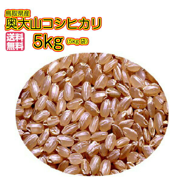 コシヒカリ 5kg 特a米 緑袋 送料無料 奥大山コシヒカリ 5kg 鳥取県産コシヒカリ 5kg 令和5年産 1等米