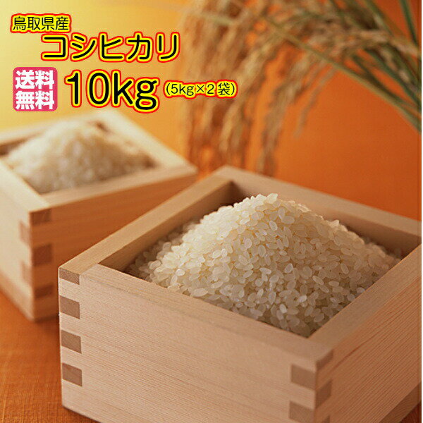 コシヒカリ 10kg 特a米5kg×2赤袋 送料無料鳥取県産