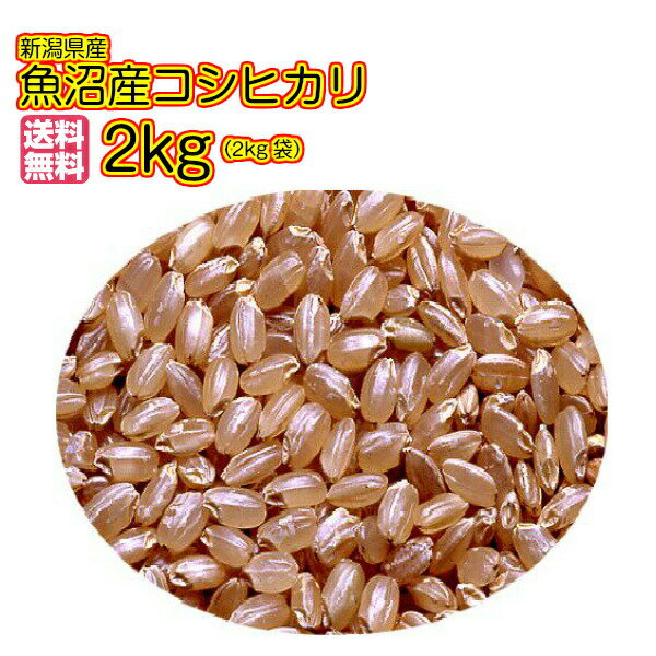 新米 令和7年産 1等米