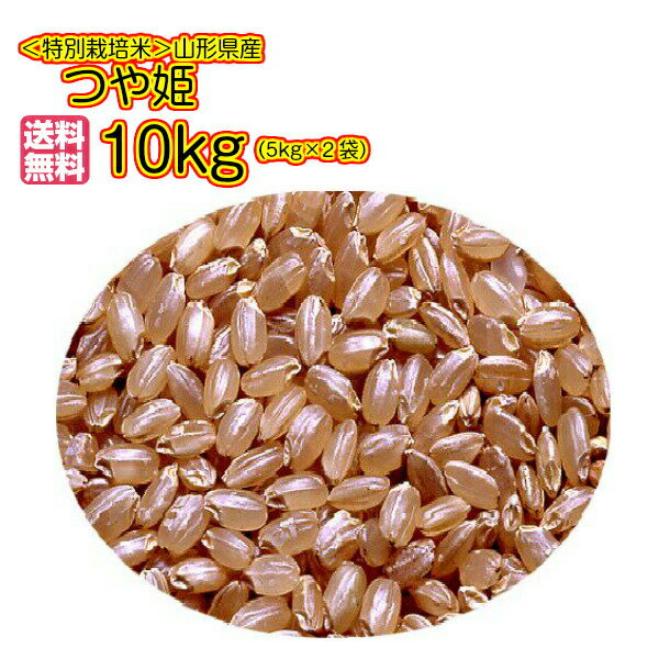 つや姫 10kg 玄米 特別栽培米 特a米5kg×2緑袋 送料無料山形県産つや姫 10kg 特別栽培米 庄内米つや姫 10kg 令和6年産 1等米