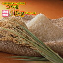 送料無料特別栽培米 特A米山形県産つや姫 10kg 5kg×2緑袋令和3年産 新米 1等米