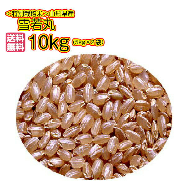 雪若丸 10kg 玄米 特別栽培米 5kg×2緑袋 送料無料