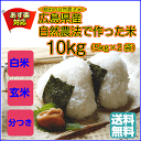 コシヒカリ10kg 5kg×2青袋 自然農法で作った米10kg 送料無料広島県産コシヒカリ10kg 広島コシヒカリ10kg 令和5年産 1等米 2