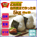 自然農法で作った米 5kg 青袋 棚田米 送料無料広島県産コシヒカリ5kg 広島コシヒカリ5kg 令和5年産 1等米 2