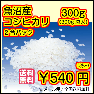 送料無料 魚沼産コシヒカリ 300g 2合 特A米 30年産1等米 お試し