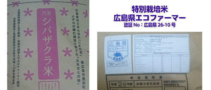 ミルキークイーン 5kg 玄米 特別栽培米 黄色袋 送料無料広島県産ミルキークイーン 5kg 特別栽培米 広島ミルキークイーン 5kg 令和5年産 1等米 3