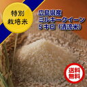 ミルキークイーン 10kg 特別栽培米 5kg×2黄金袋 送料無料広島県産ミルキークイーン10kg 特別栽培米 令和5年産 1等米 2