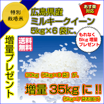 送料無料 広島県産ミルキークイーン 30kg 特別栽培米 ゴールド袋お米5kg増量プレゼント付きで、35kgお届け令和元年産 1等米