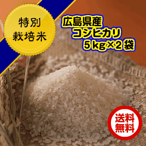 コシヒカリ 10kg 玄米 特別栽培米 5kg×2 ゴールド袋 送料無料広島県産コシヒカリ10kg 特別栽培米 広島コシヒカリ10kg 令和5年産 1等米 2