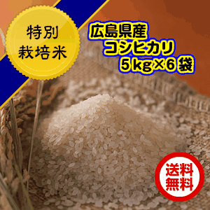 コシヒカリ 30kg 玄米 特別栽培米 5kg×6 黄金袋 送料無料広島県産コシヒカリ 30kg 特別栽培米 広島コシヒカリ 30kg 令和6年産1等米