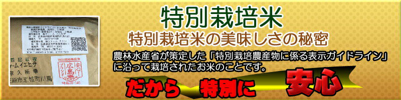 ミルキークイーン 30kg 5kg×6 特別栽培米 赤袋送料無料 広島県産 令和3年産1等米