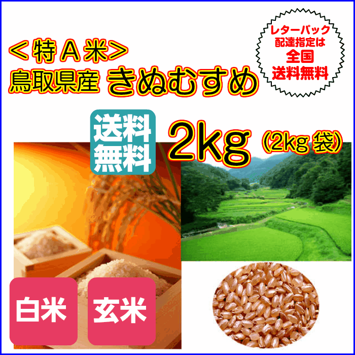 送料無料 鳥取県産きぬむすめ 2kg 玄米 特A米当店一流米 令和3年産 新米 1等米レターパックお届け 全国送料無料
