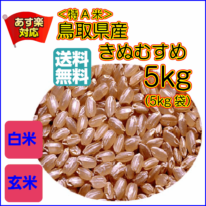 送料無料島根県産きぬむすめ 5kg 【ゴールド袋】 玄米／白米選べます...