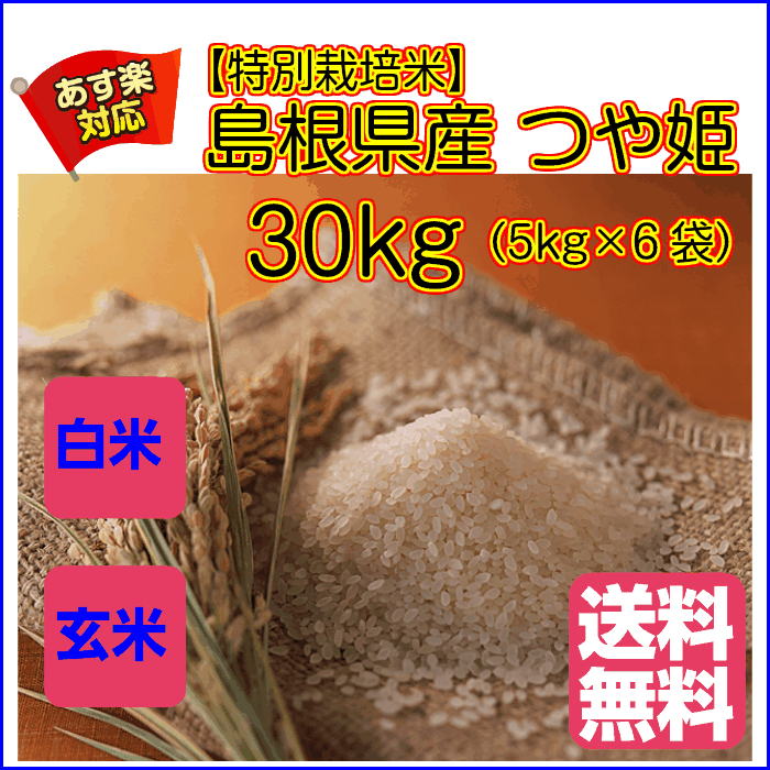 送料無料 島根県産つや姫 30kg 特別栽培米 特A米 5kg×6金袋奥出雲産 30kg令和3年産 1等米