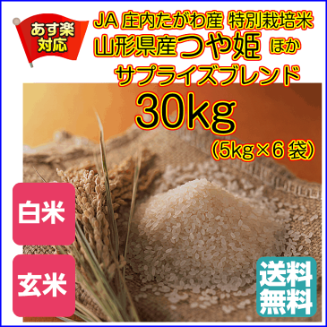 送料無料 新米 30年産 特別栽培米山形県産つや姫と広島県産コシヒカリの合せ銘柄米 30kg 5kg×6緑袋 30年産1等米