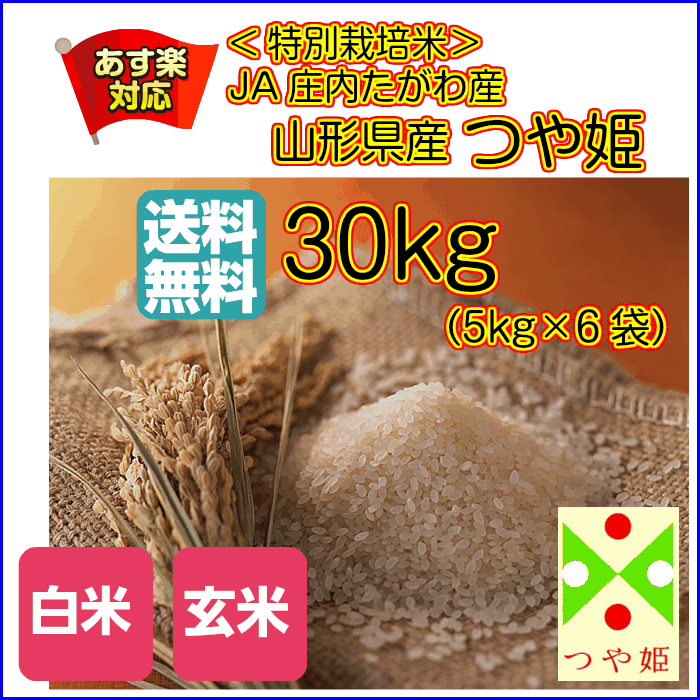 ポイント5倍つや姫30kg 玄米 特別栽培米 特A米5kg×6緑袋 送料無料山形県産つや姫30kg 庄内つや姫30kg 令和6年産新米