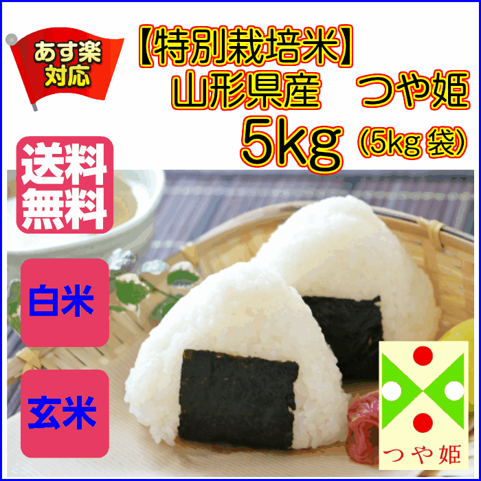 つや姫 5kg 特別栽培米 特A米 緑袋 送料無料山形県産つや姫 5kg 特別栽培米 庄内米つや姫 5kg 令和5年産 1等米 2