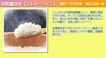 送料無料 広島県産ミルキークイーン 20kg 5kg×4金の袋令和元年産 1等米 天空の郷 女ヶ原高原 里山米