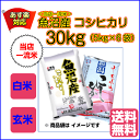 送料無料 魚沼産コシヒカリ 30kg 玄米 5kg×6袋 特A米新潟県産コシヒカリ 令和 3年産新米 1等米