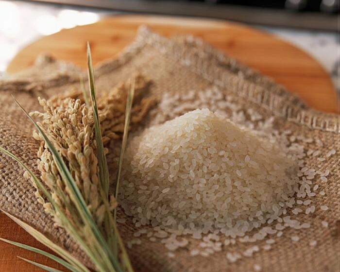 広島県産ミルキークイーン30kg 特別栽培米 黄袋 送料無料