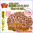 魚沼産コシヒカリ 10kg 送料無料お買上げで5kgプレゼント合計15kgお届け新潟県産特A米 令和5年産 1等米 2