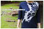 藍染オーガニックコットン7分袖(7分丈)Tシャツ　蝶々