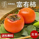【今だけクーポンでお得】 富有柿 柿 5kg 2.5kg お歳暮 農家 直送 家庭用 平田 果物 高級 予約 島根 ギフト お徳用 送料無料 農家直送 名産 か...