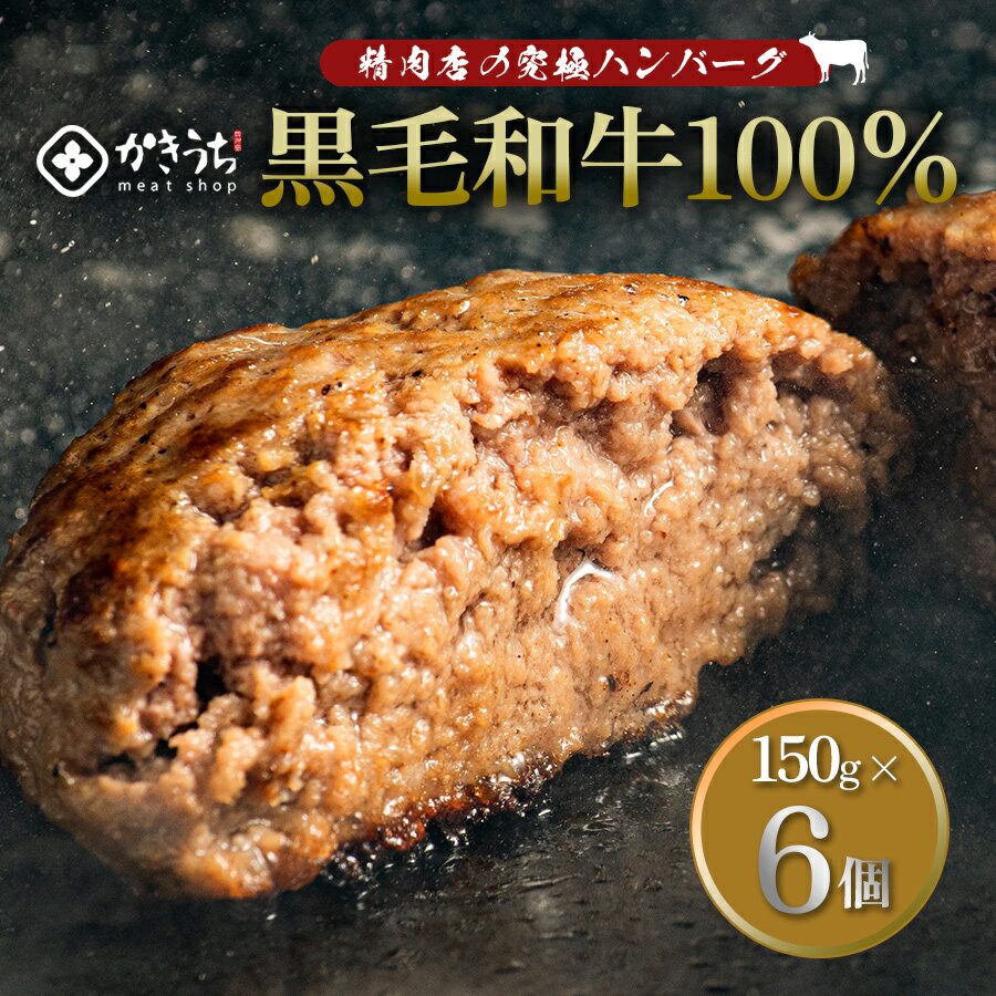 【送料無料】 黒毛和牛 ハンバーグ 6個 × 150g 和牛100% 南九州市 かきうち かきうち精 ...