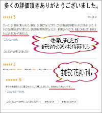 無地ベーシック裏毛トレーナーイニシャルが選べる送料無Kakkidsオリジナル商品100110120130白黒グレー杢10P19Dec15