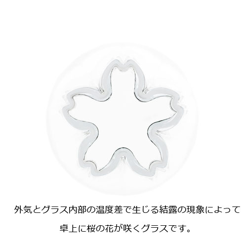 桐箱入り SAKURASAKU ROCKglass［サクラサクロックグラス］ペアセット【グラス 日本製 ロッググラス 日本酒 ペア セット キッチン 食器 桜 サクラ 木箱 おしゃれ デザイン 男性 女性 ギフト 新婚 結婚祝い お正月 誕生日プレゼント】
