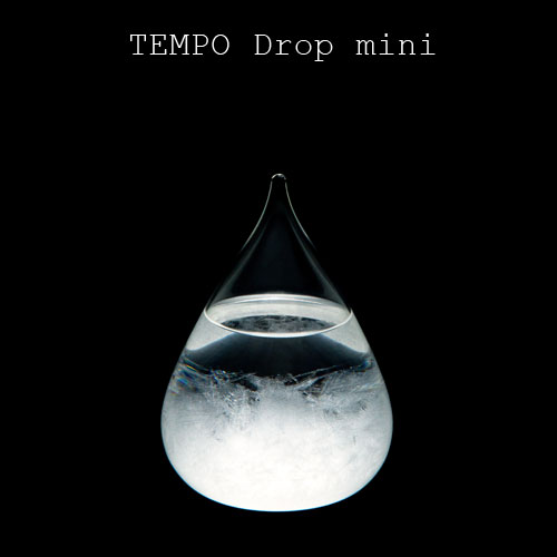 テンポドロップ ミニ Tempo Drop mini【ストームグラス Tempo Drop ペロカリエンテ オブジェ ガラス 飾り 結晶 男性 北欧 テイスト おしゃれ モダン プレゼント 雑貨 誕生日 】【●】