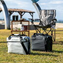 クーラーバッグ 12 AOパック カーボン ソフトクーラー【Coolers クーラーズ クーラーボックス aoクーラー 保冷 折りたたみ アウトドア レジャー ...