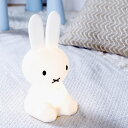 無料ラッピング＆着後レビューで選べる特典★miffy ファーストライト ミッフィー LED 赤ちゃん 授乳ライト 充電式 ナイトライト 調光 間接照明 子供部屋 寝室 フロアライト フロアランプ デスクライト おしゃれ グッズ 北欧 誕生日プレゼント 母の日